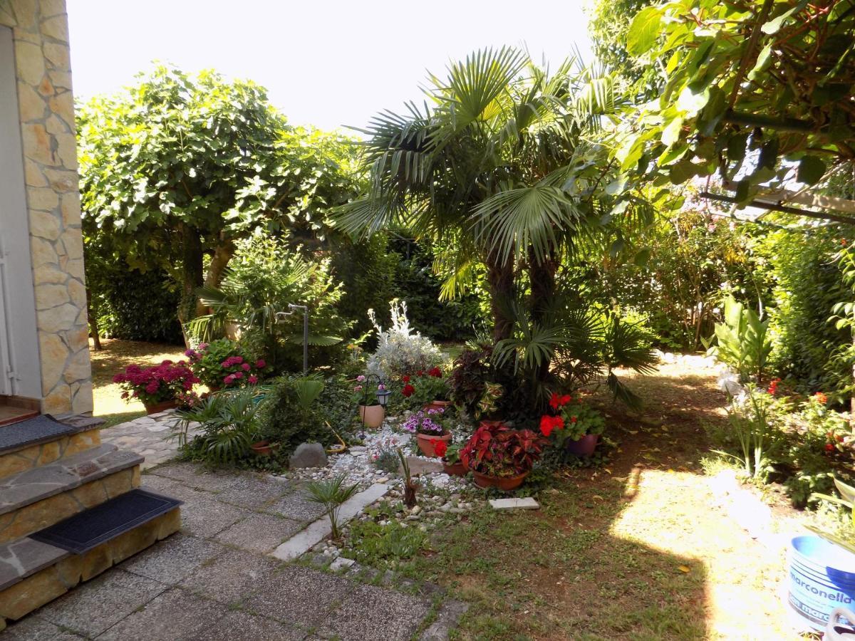 Oriella Apartmans And Room Novigrad Istria Eksteriør billede